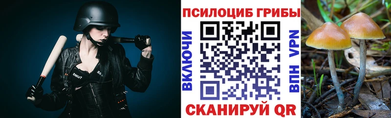 Галлюциногенные грибы ЛСД  Купить закладки  Кулебаки 